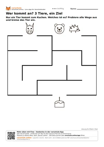 Wer kommt an? 3 Tiere, ein Ziel