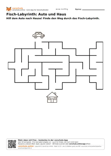 Fisch-Labyrinth: Auto und Haus