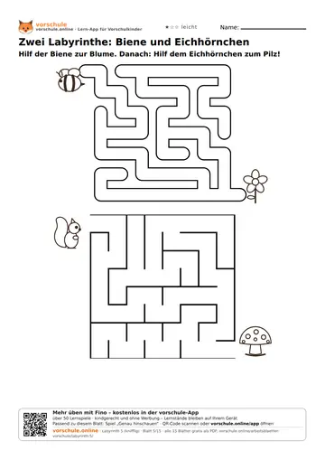 Zwei Labyrinthe: Biene und Eichhörnchen