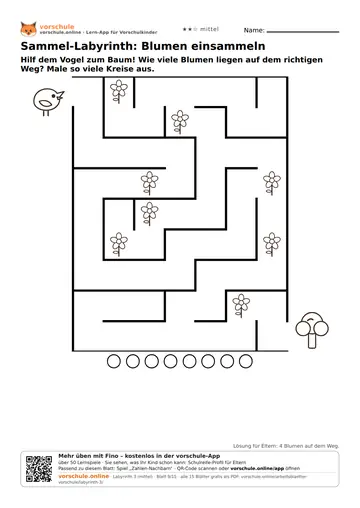 Sammel-Labyrinth: Blumen einsammeln