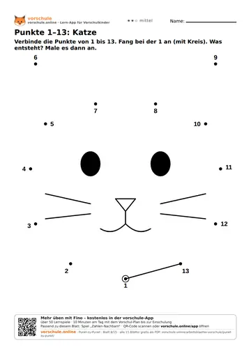 Punkte 1–13: Katze