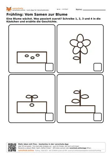 Frühling: Vom Samen zur Blume