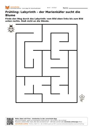 Frühling: Labyrinth – der Marienkäfer sucht die Blume